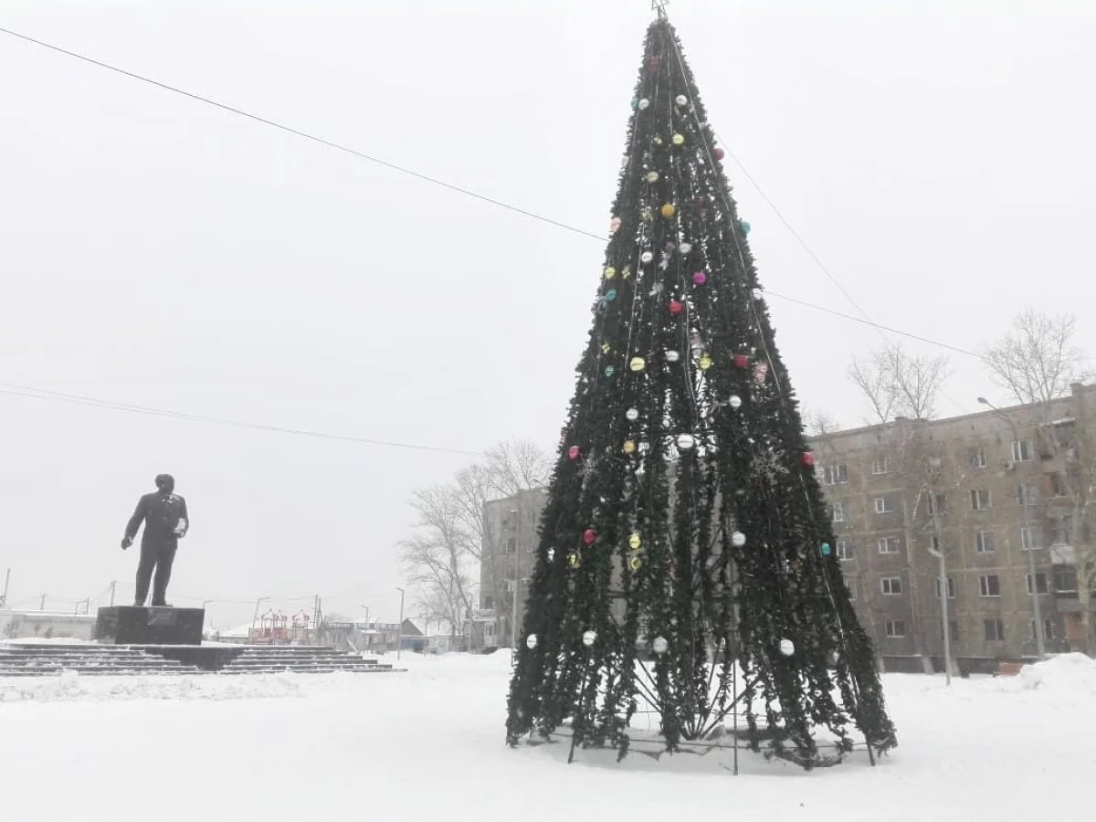 Семейчане возмутились «голыми» елками на городских площадях