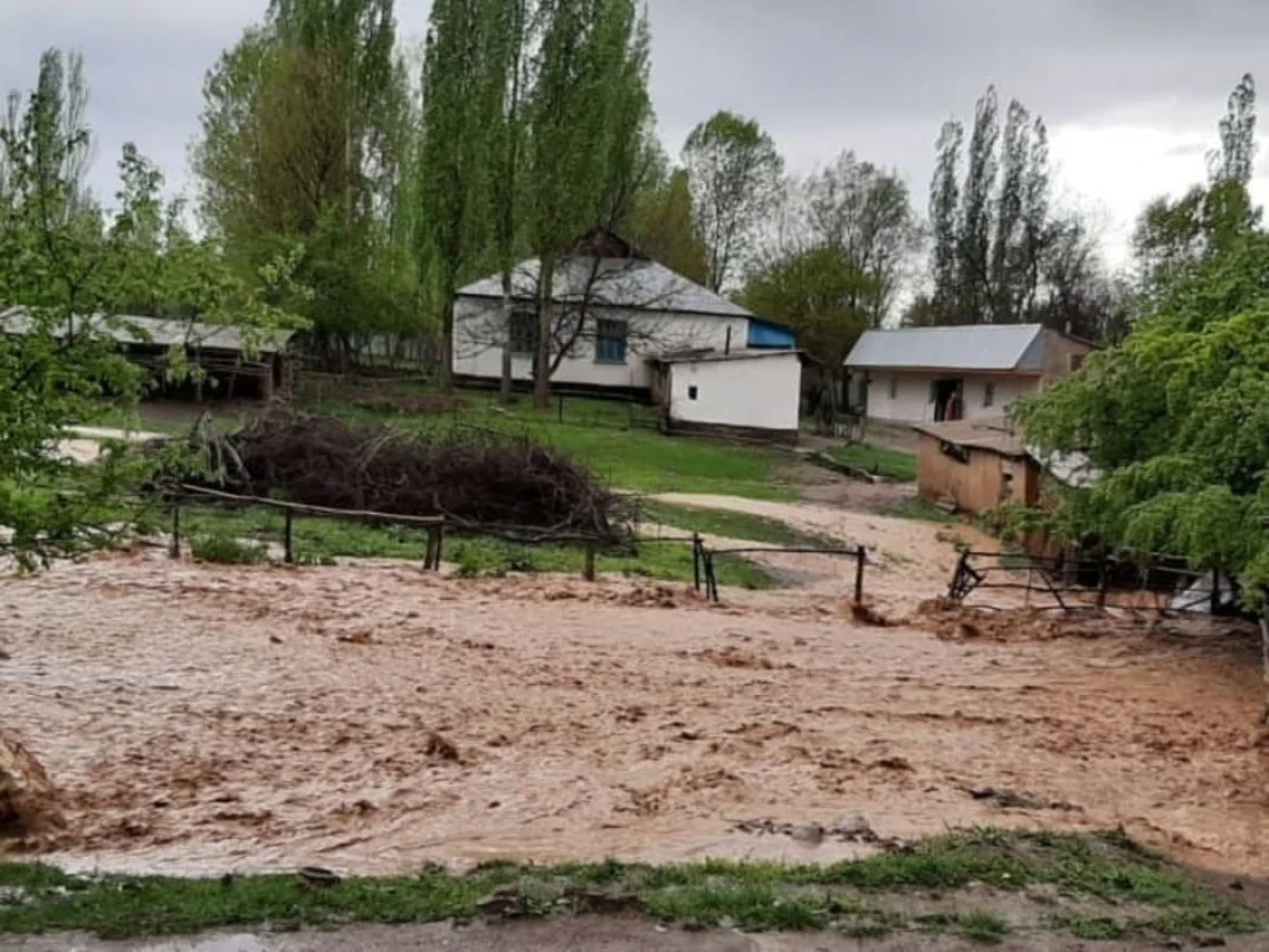 Селевые потоки сошли в населенных пунктах Туркестанской области