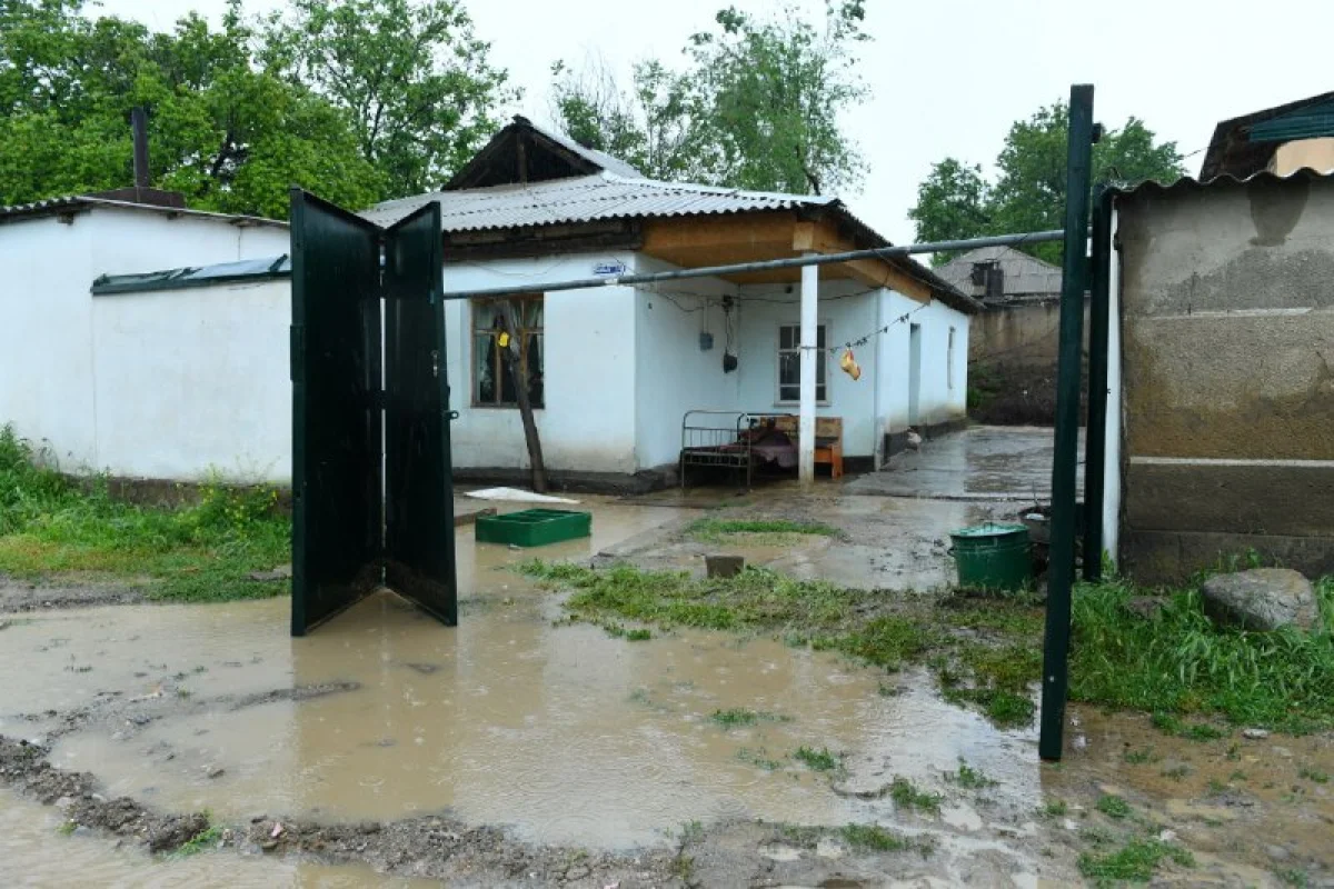 ЧС местного масштаба объявили в Туркестанской области