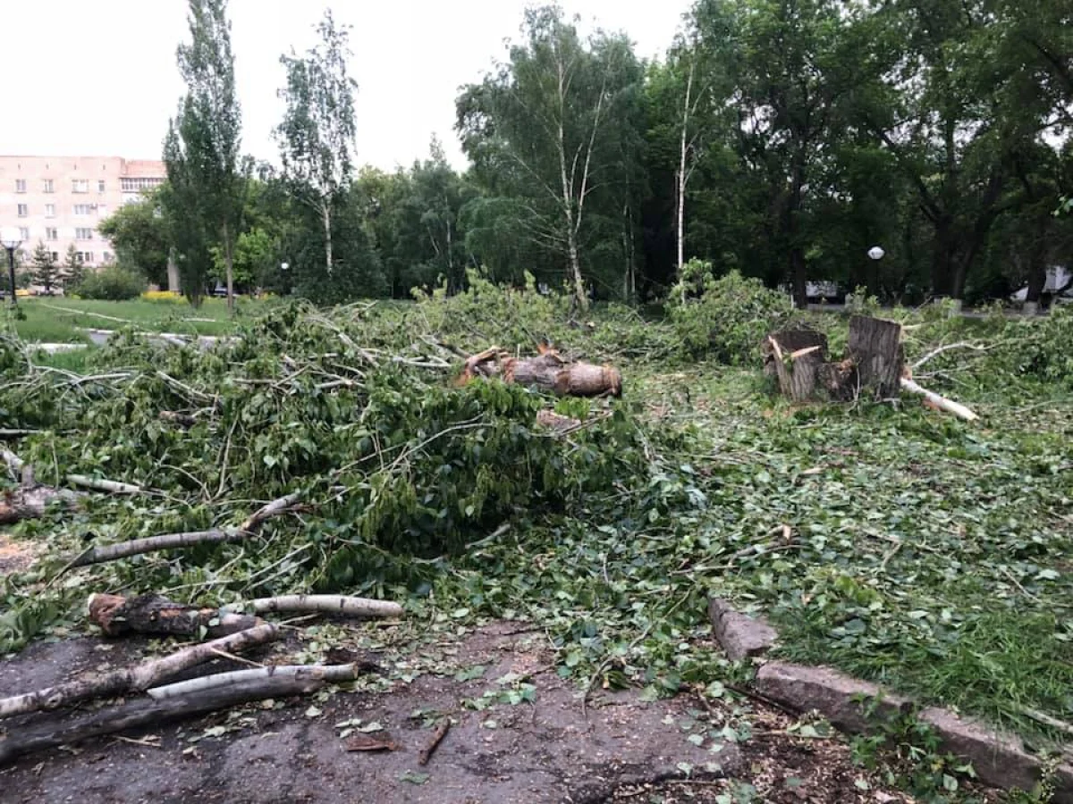 Бизнесмен уничтожил сквер в центре Петропавловска