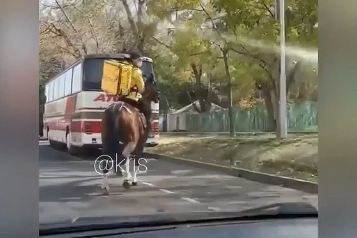 Курьера на лошади сняли на видео в центре Алматы