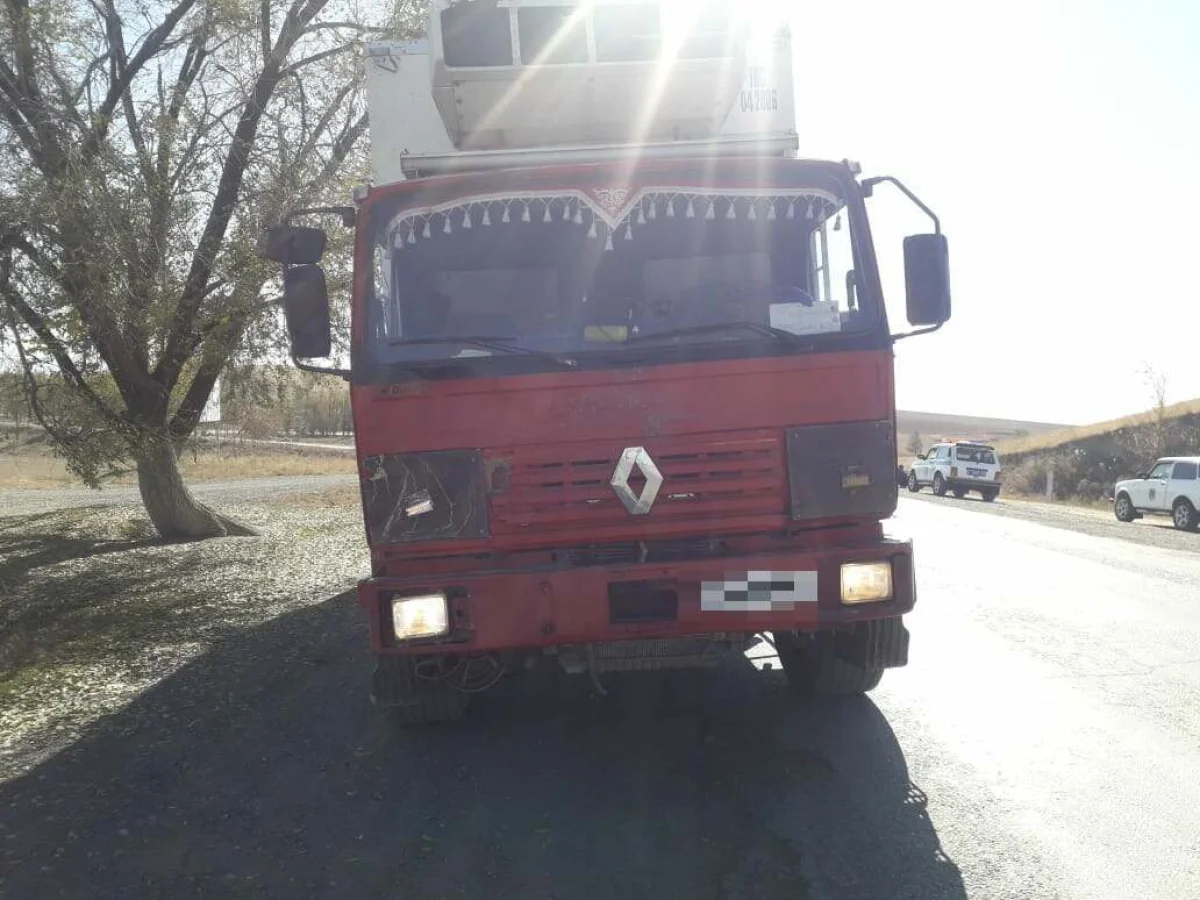 Водитель грузовика насмерть сбил талдыкорганца