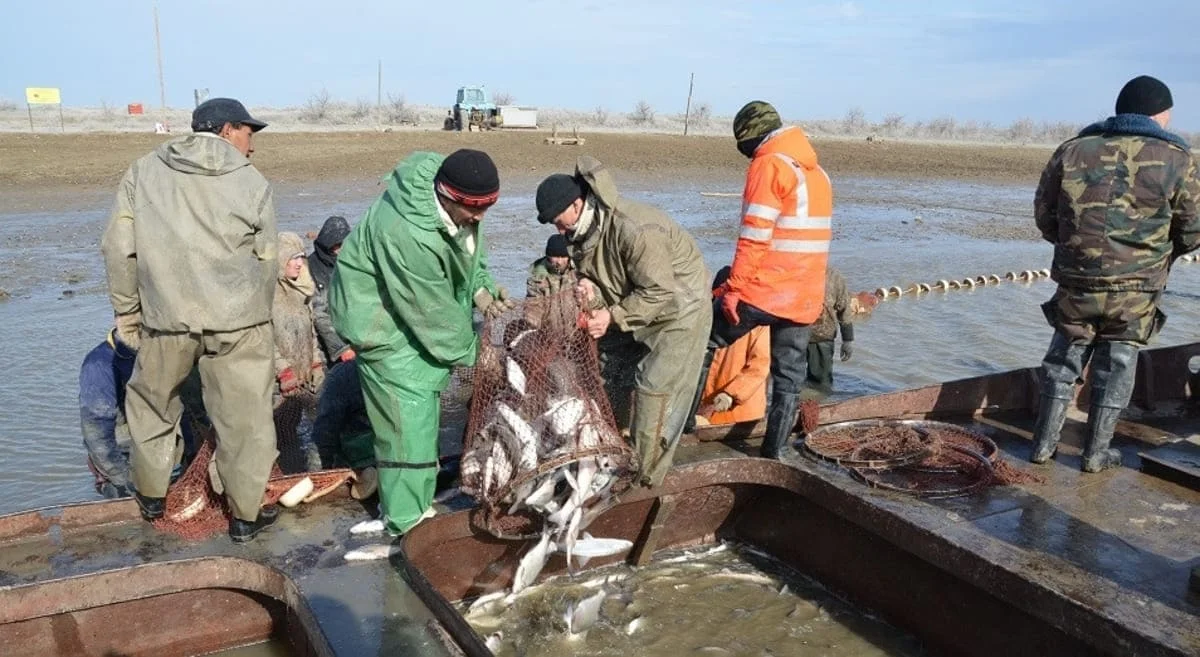 Казахстанские рыбаки большую часть своего улова отправляют за рубеж