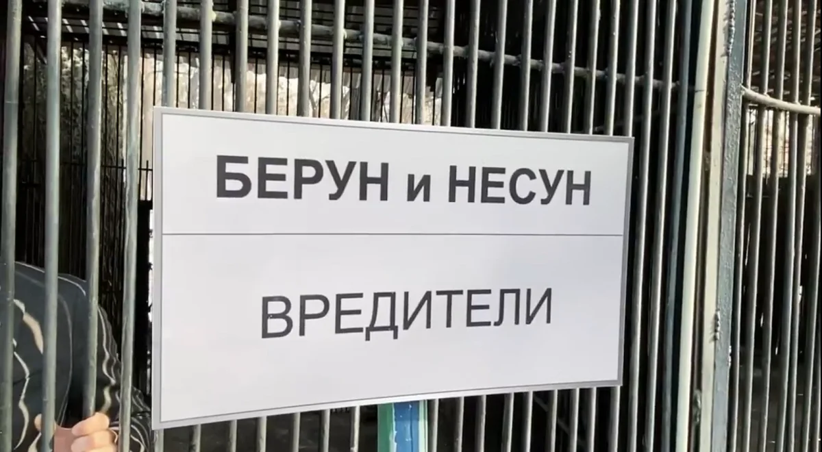 «Беруны и несуны»: видео о взяточниках набирает популярность в Казнете