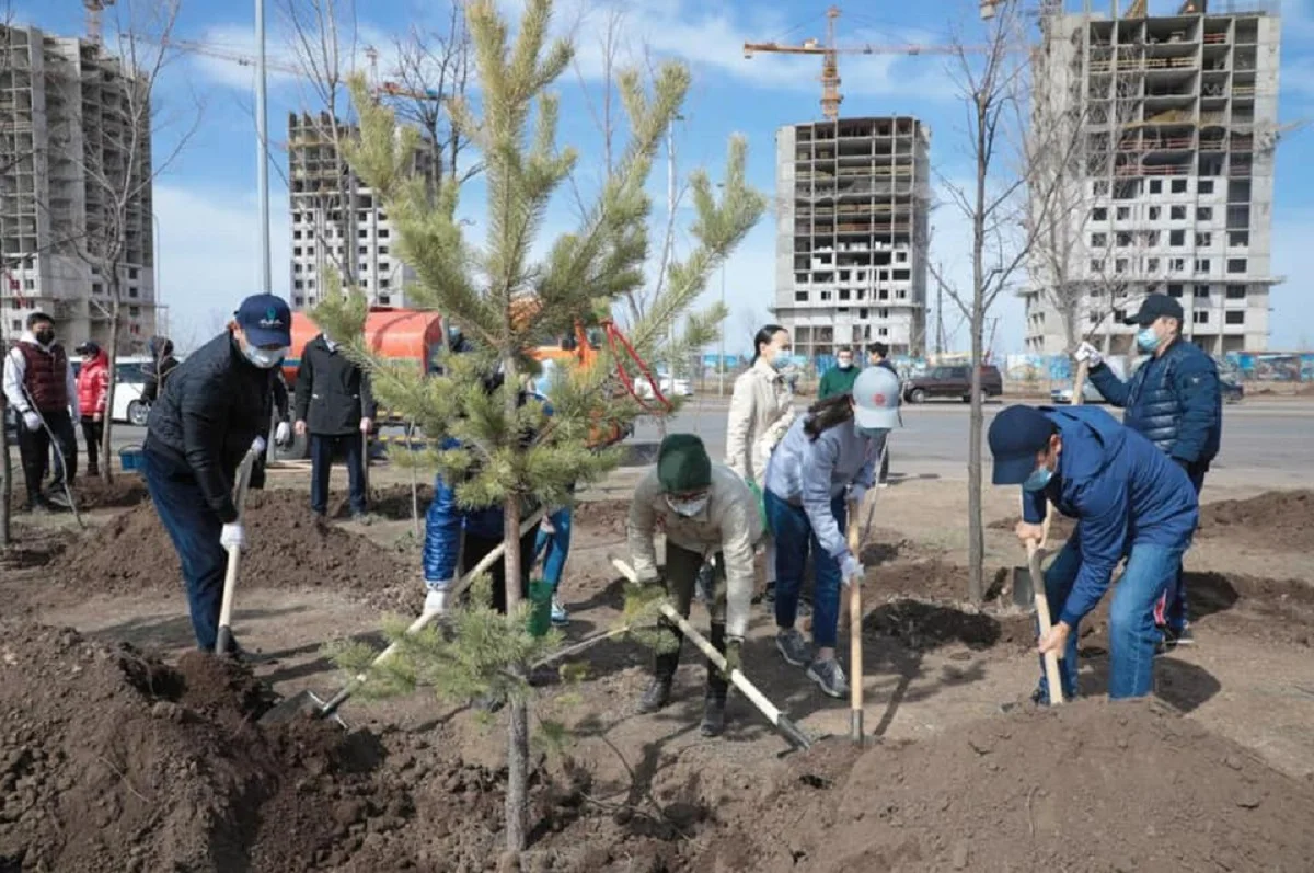 «30-летие Независимости»: Болашаковцы посадили деревья в столице