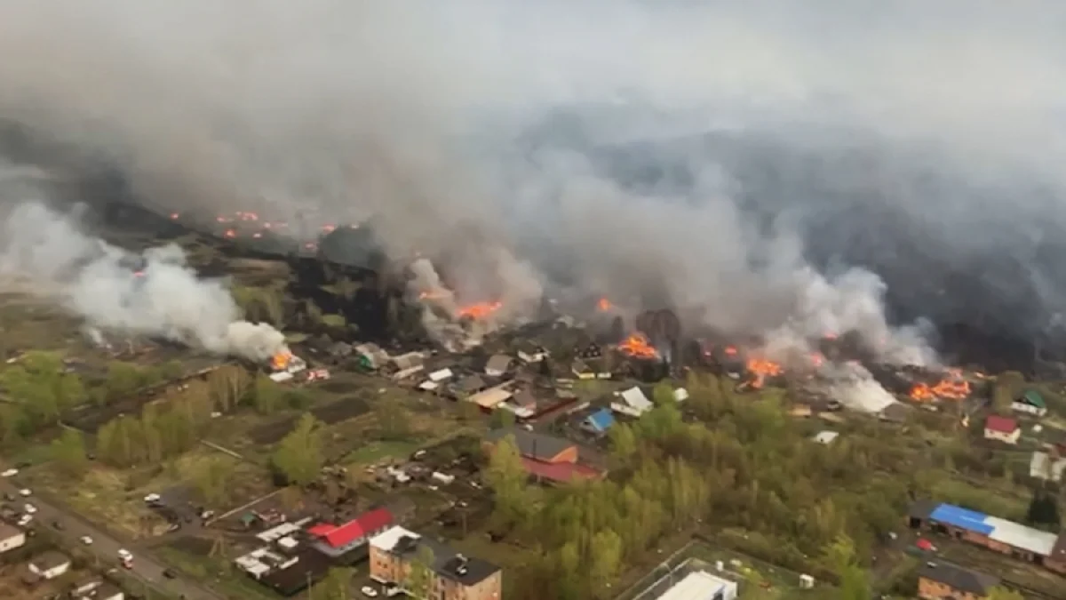 Лесной пожар в Риддере. Полицейские нашли обгоревший труп пожилой женщины