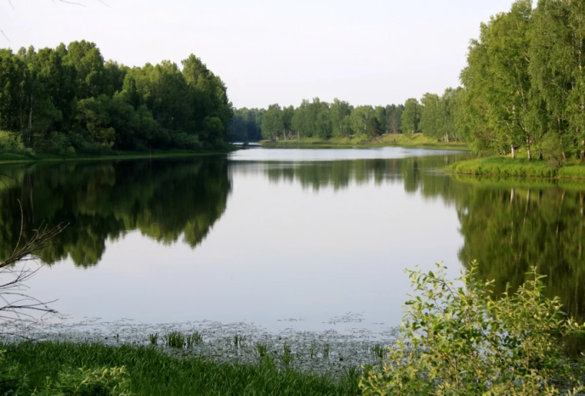 Тело пропавшего мужчины нашли в реке Есиль в СКО