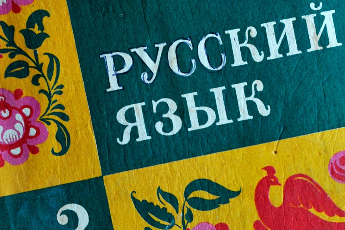 «Притесняющим русскоговорящих нечего делать в РФ»: Госдума рассматривает санкции