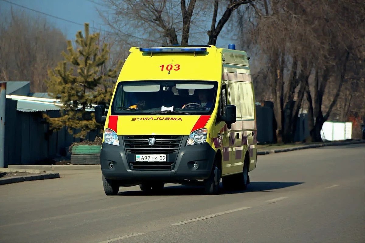 Перевернулся трактор: 8-летняя девочка и мужчина погибли в ЗКО