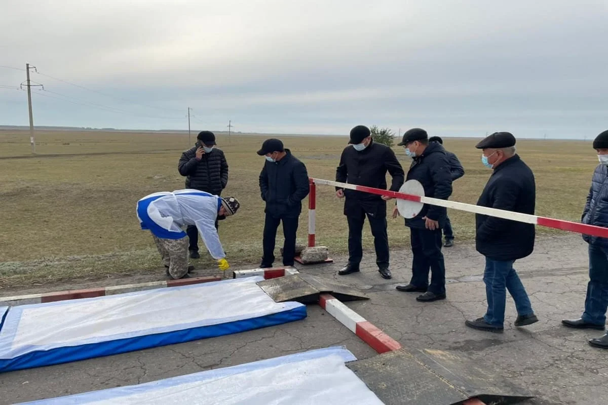 Вспышка гриппа: всю птицу уничтожат в одном из сел СКО