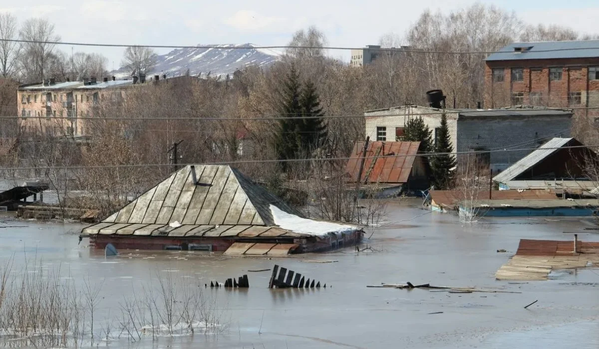 «В зоне паводка»: ежегодный ущерб природе и экономике