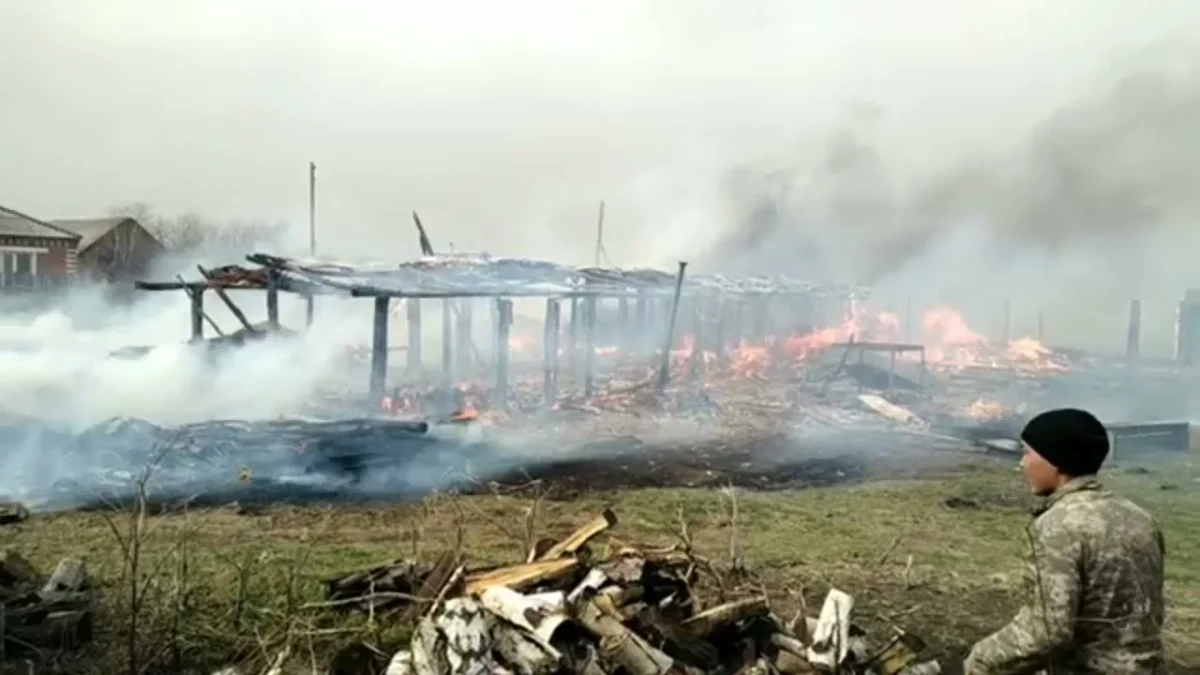 Потерявшим жилье при пожарах пообещали построить новые дома