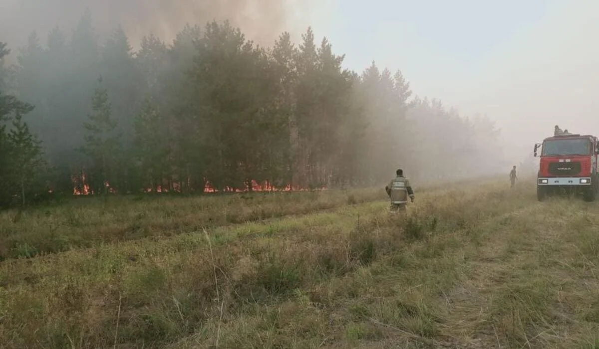 Последствия пожара: экологи назвали опасные вещества, которыми дышат костанайцы