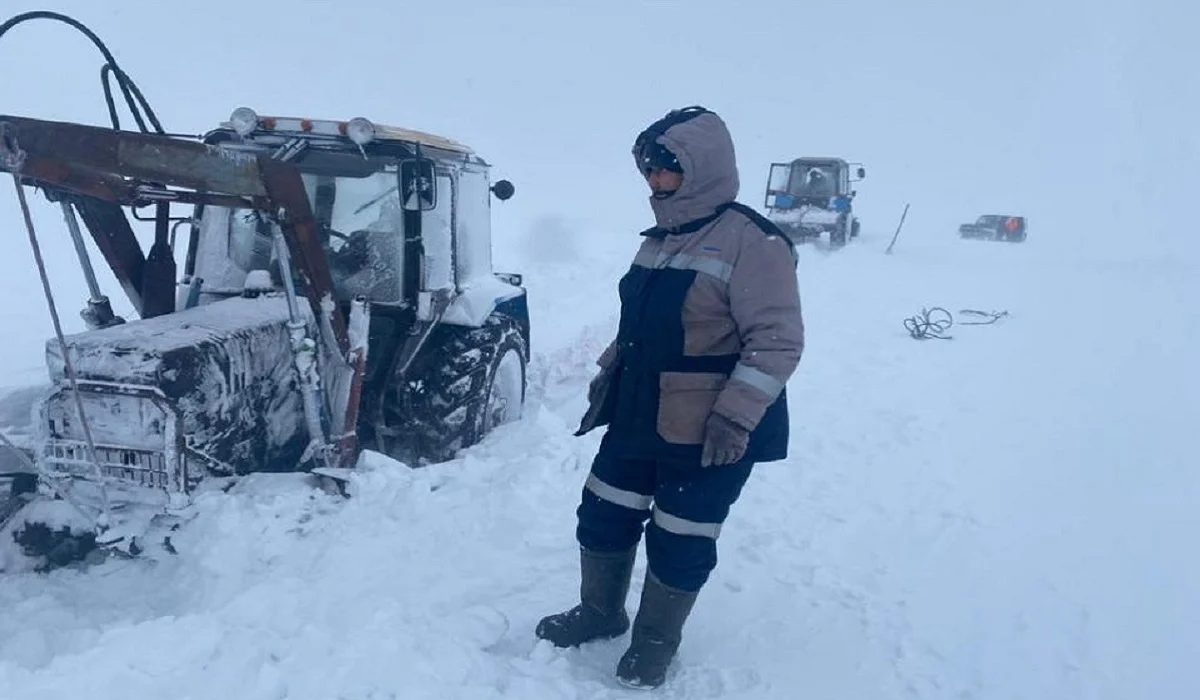 Пропавших пастухов ищут в Улытауской области