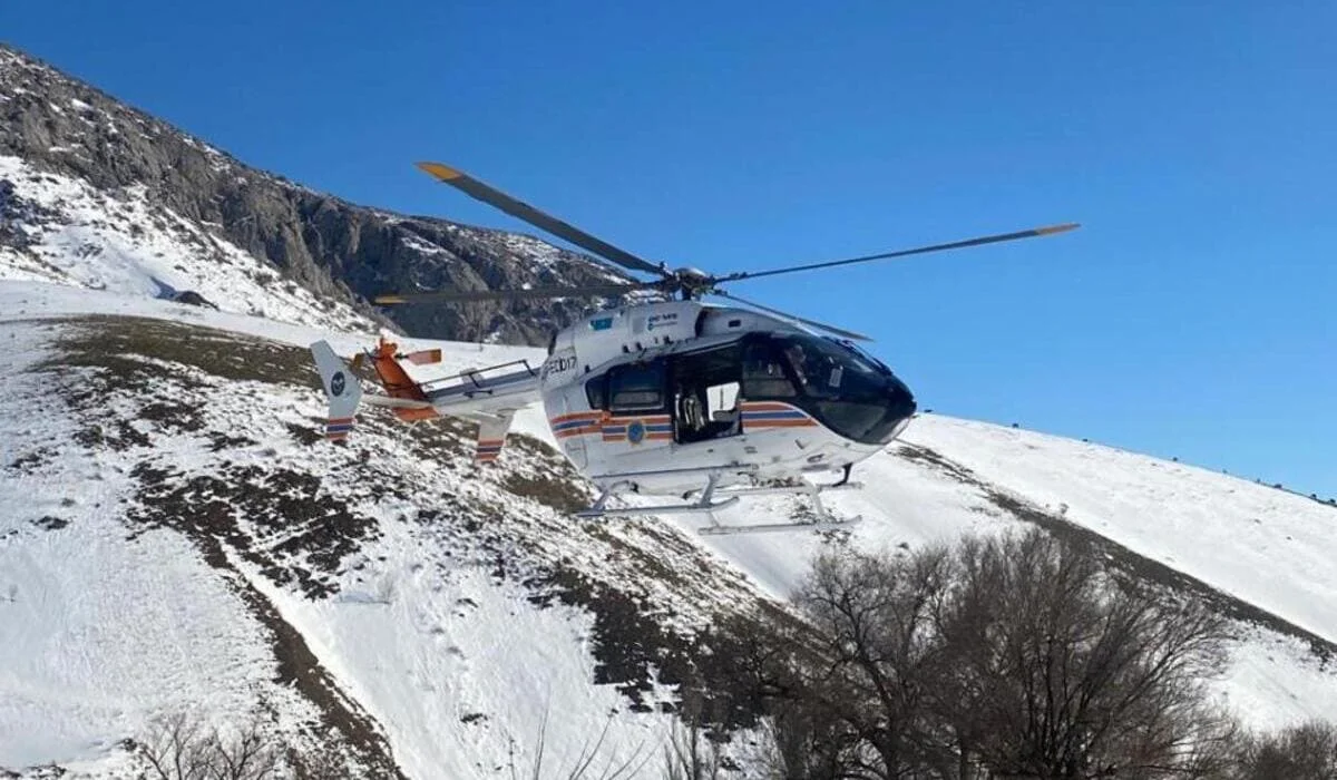 Пропавшую семью из 12 человек нашли в горах Туркестанской области