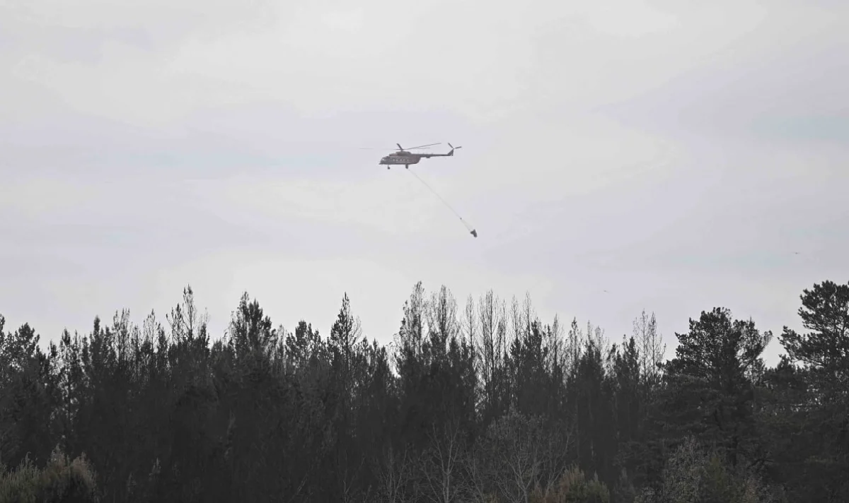 Новый глава МЧС оценил масштабы пожара в Абайской области