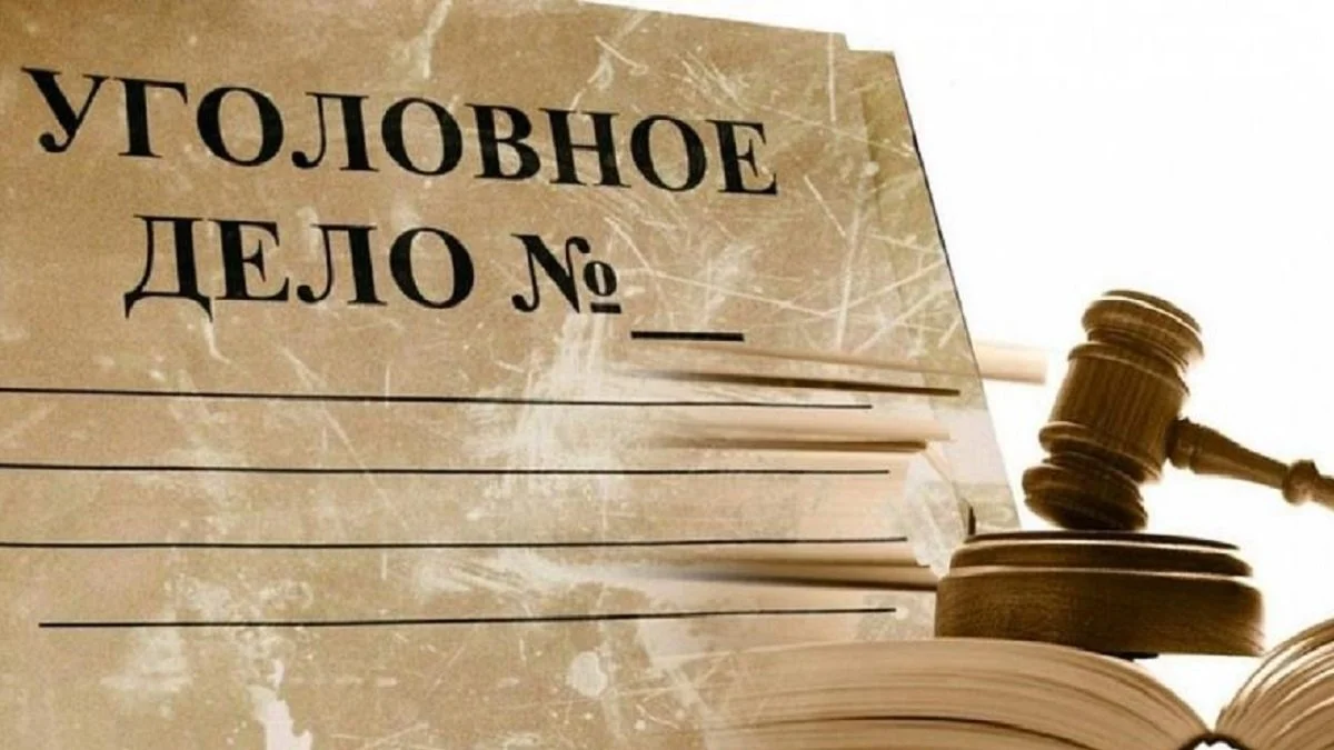 О громких делах, раскрытых в Акмолинской области, рассказали в прокуратуре