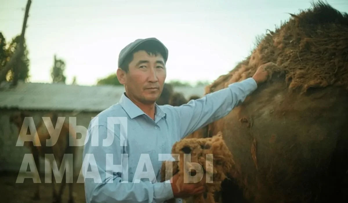 «Ауыл аманаты»: скольким жителям Акмолинской области выдадут льготные микрокредиты