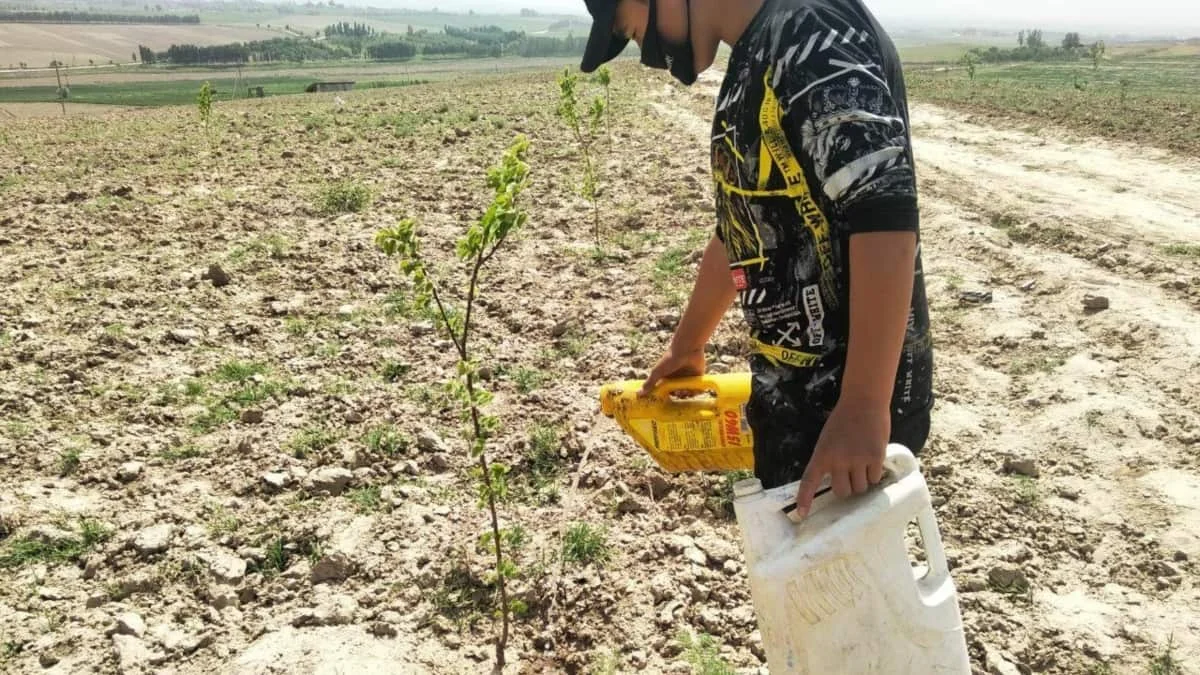 «Ситуация критическая»: в Минэкологии сделали заявление по дефициту поливной воды