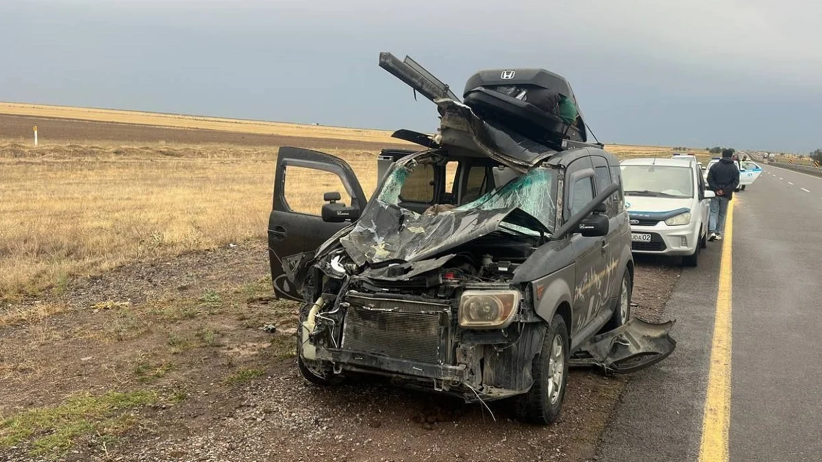 Лошадь спровоцировала смертельное ДТП в Жетысуской области