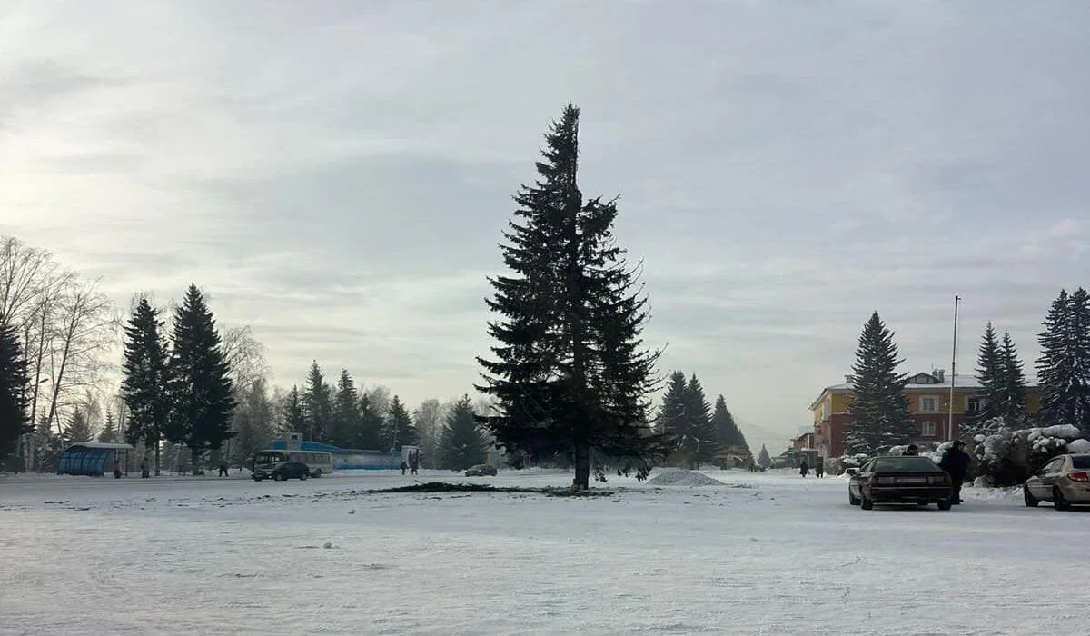 Непрезентабельную елку раскритиковали горожане в ВКО