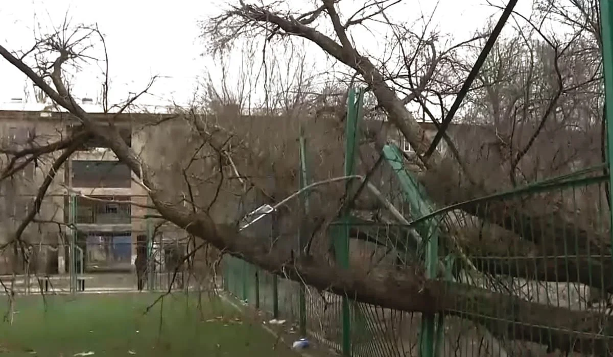 Ураган в Таразе: в городе пострадали 9 человек