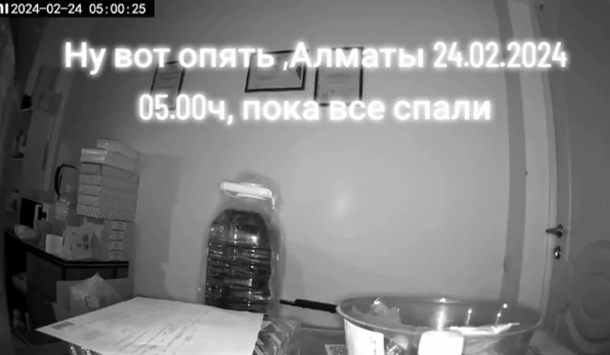 Землетрясение, произошедшее ранним утром в Алматы, попало на видео