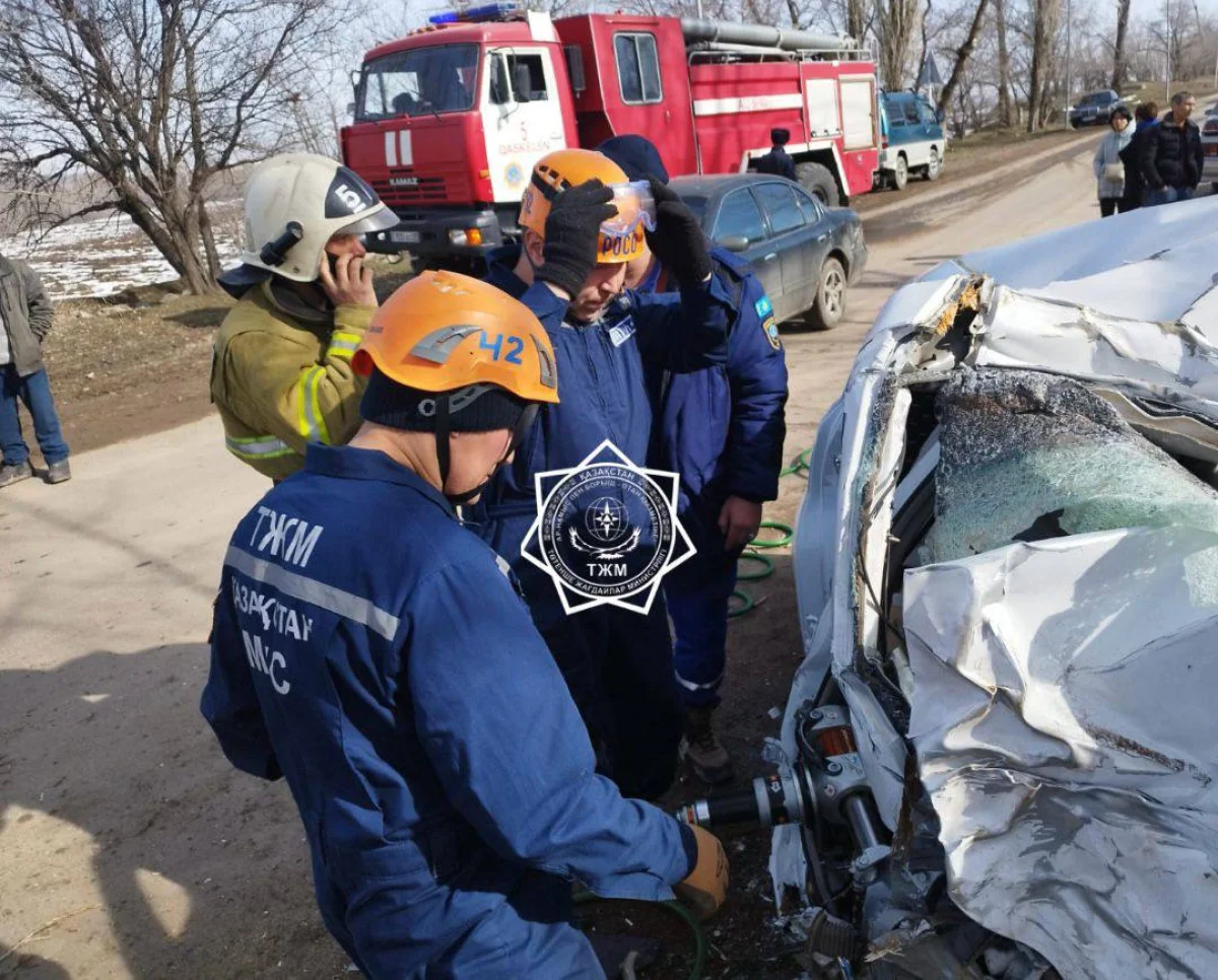 Врезался в дерево: спасатели МЧС извлекли тело пассажира из автомобиля