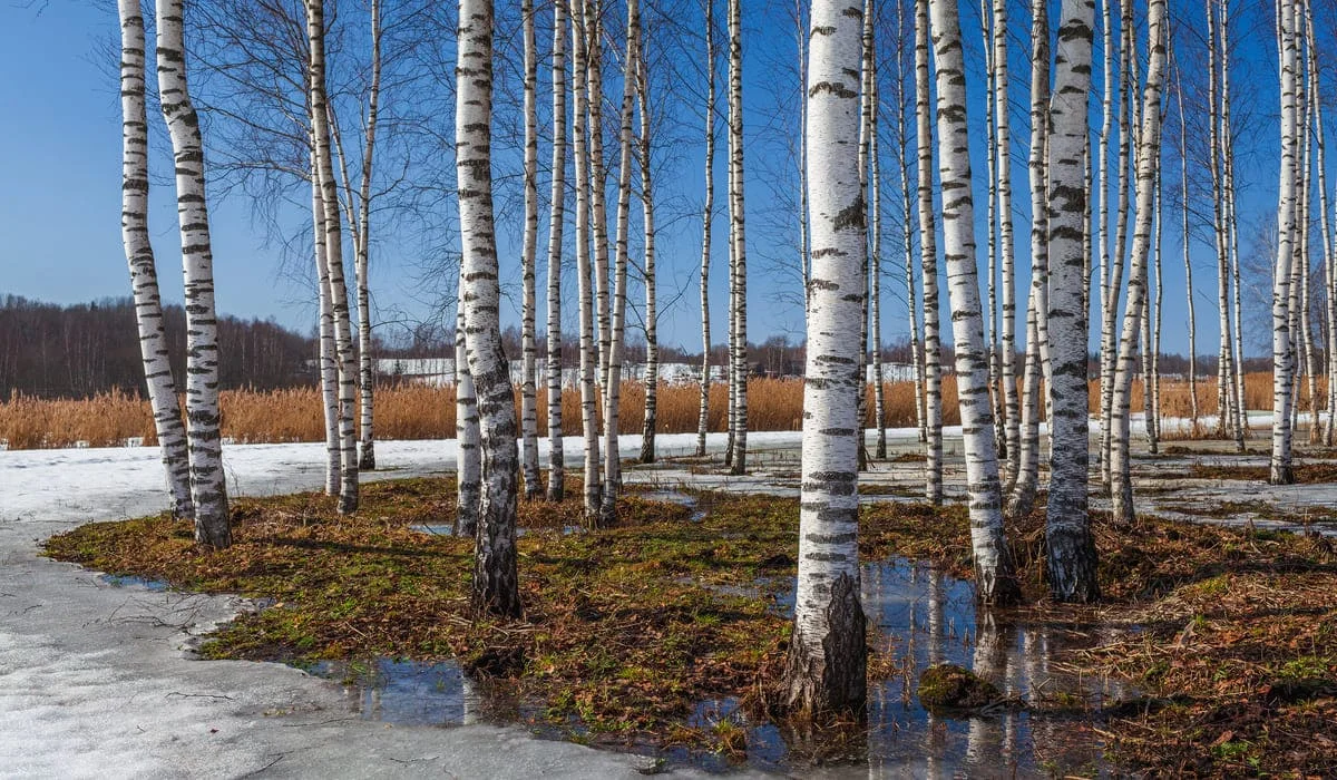 Какой будет погода в апреле в Казахстане, рассказали синоптики