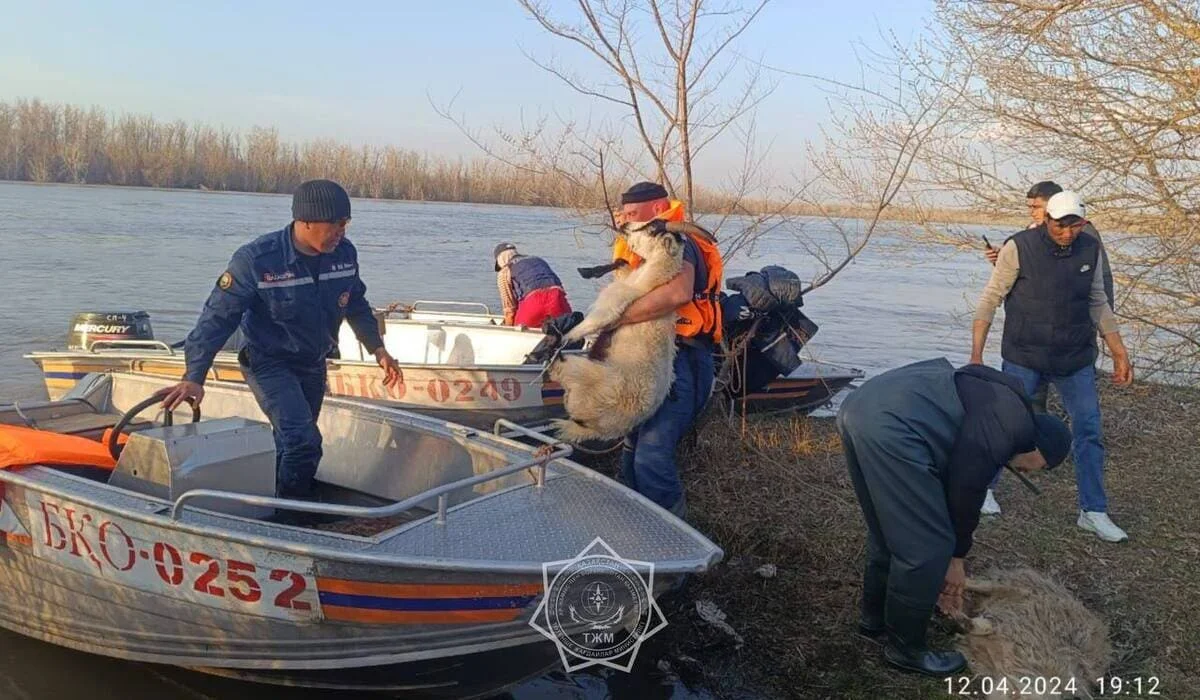 Половодье в Казахстане: что известно к этому часу