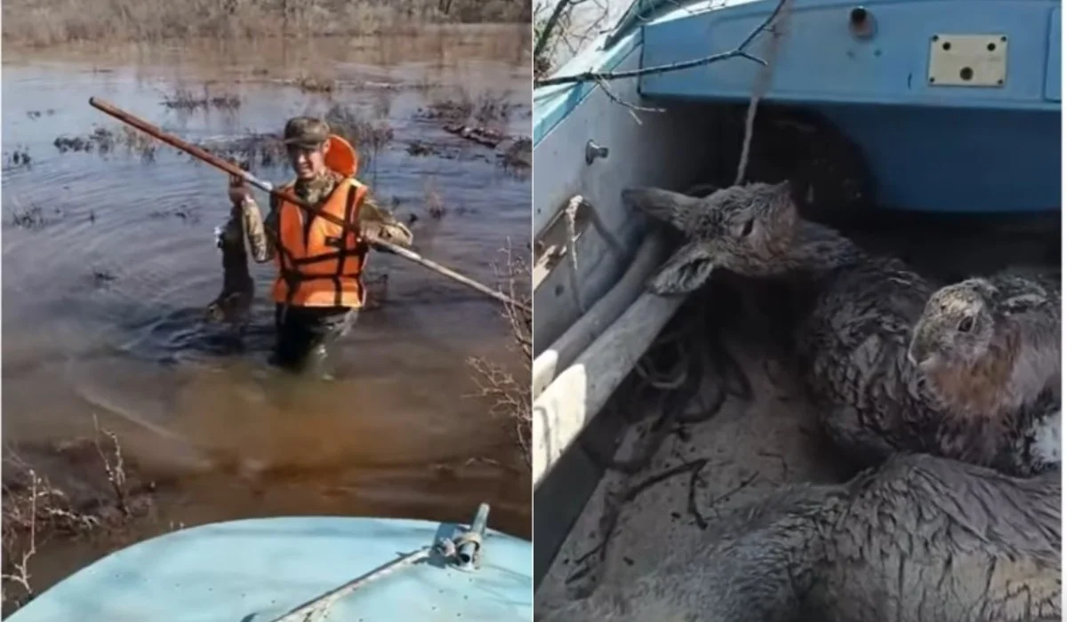 Зайцев и косуль спасли экологи в затопленных районах ЗКО (ВИДЕО)