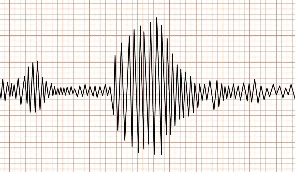 Магнитуда 4,6: землетрясение зарегистрировали сейсмологи Алматы