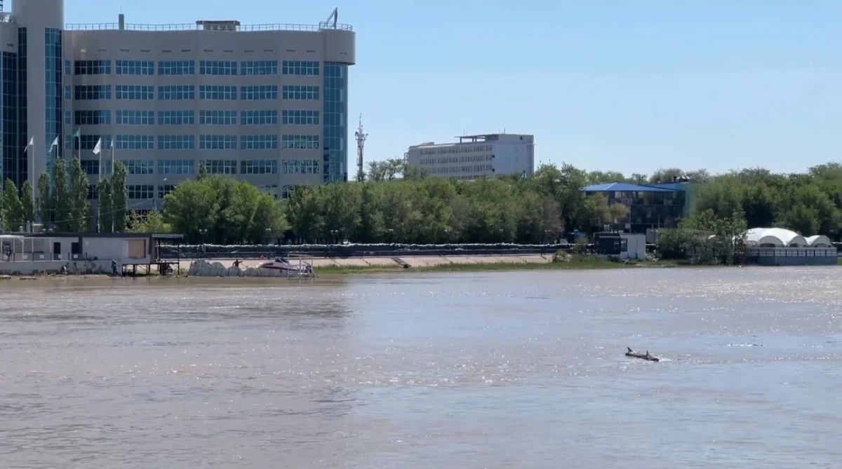 Повышается уровень воды в реке Урал в Атырауской области