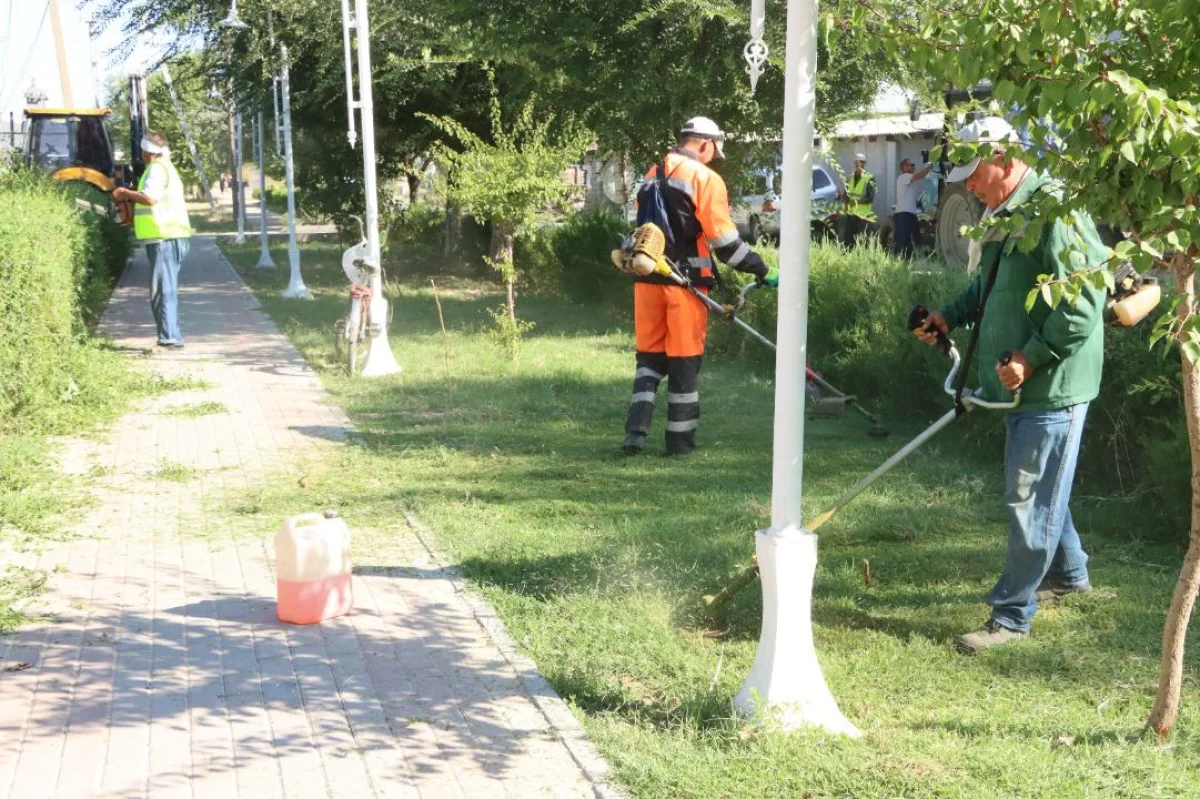 Экоакция «чистое село» прошла в рамках «Таза Казахстан» прошла в Туркестане