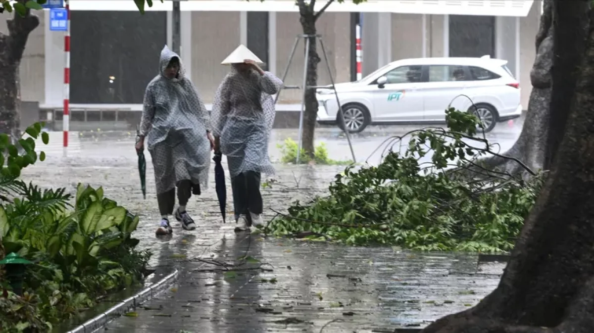 Во Вьетнаме из-за тайфуна «Яги» погибли более 300 человек