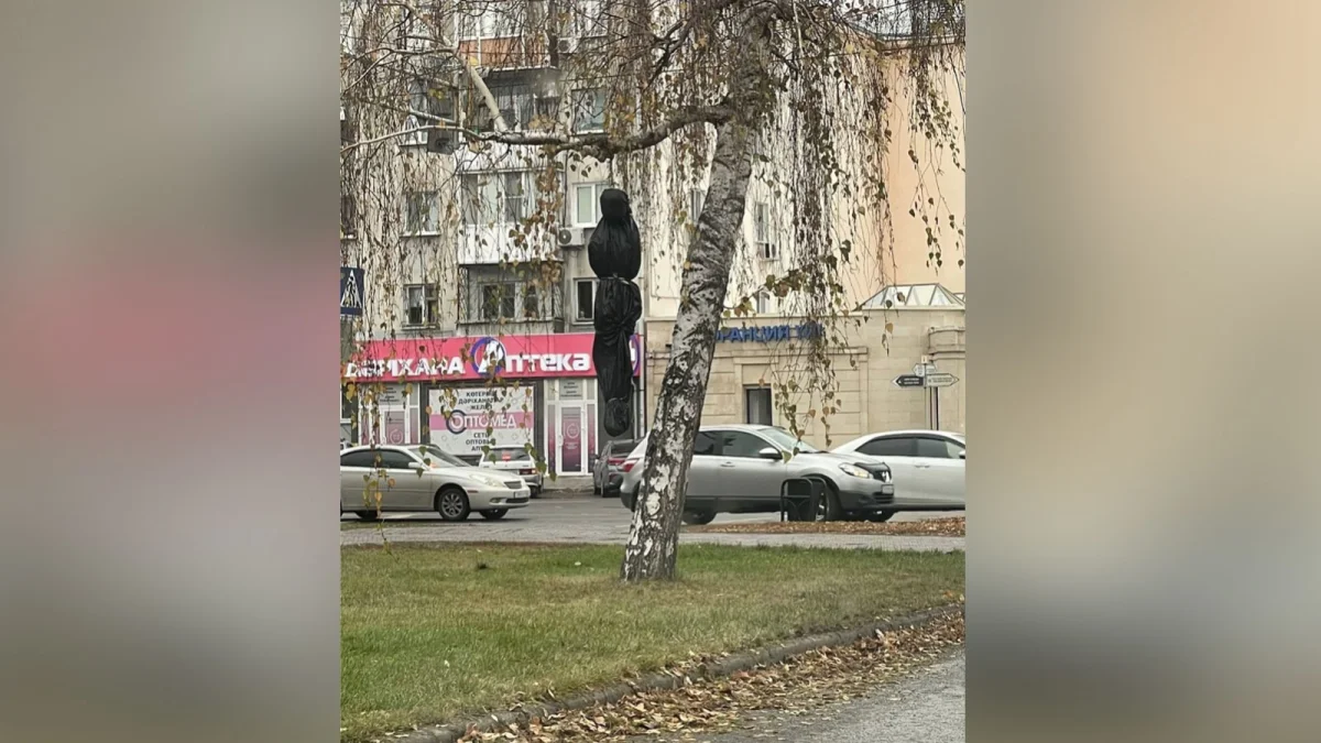 Огромный мешок с человеческим силуэтом повесили на дереве в Усть-Каменогорске