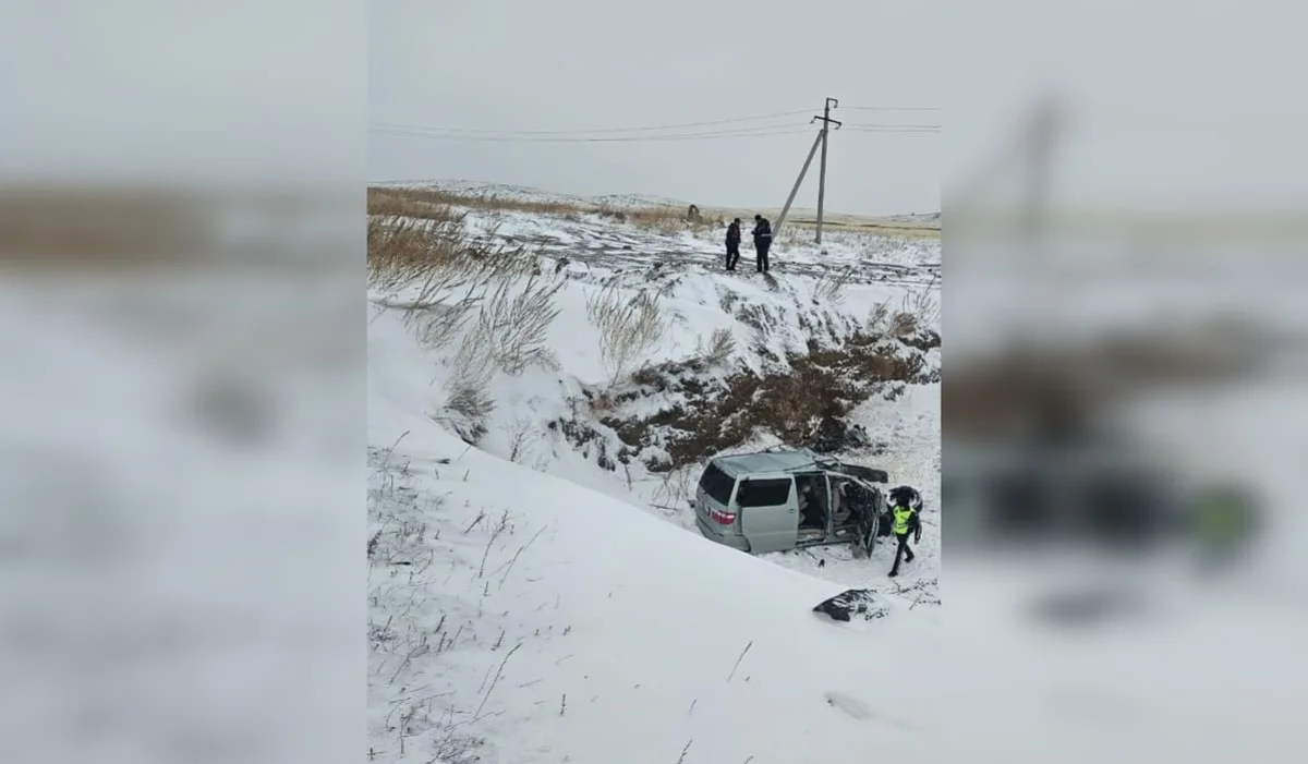 Семь человек погибли в жуткой аварии на трассе под Карагандой (ВИДЕО)