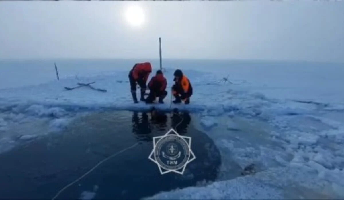 Ночные поиски скота закончились трагедией в Карагандинской области (ВИДЕО)