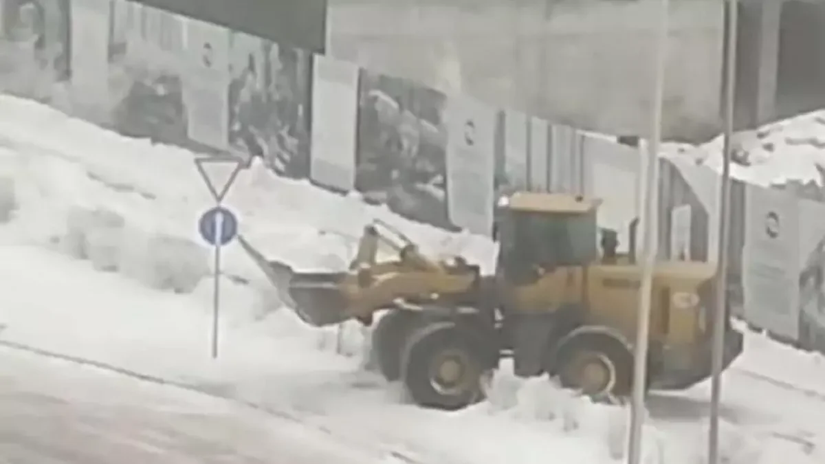 Короткий путь по кустам: водителя наказали после скандального видео уборки снега в Астане