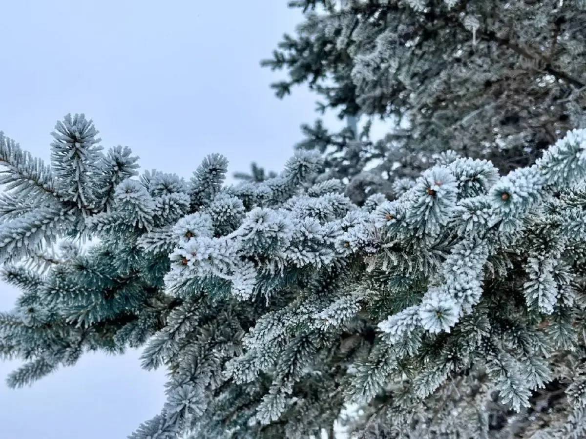 Какая погода ждет казахстанцев 22 января