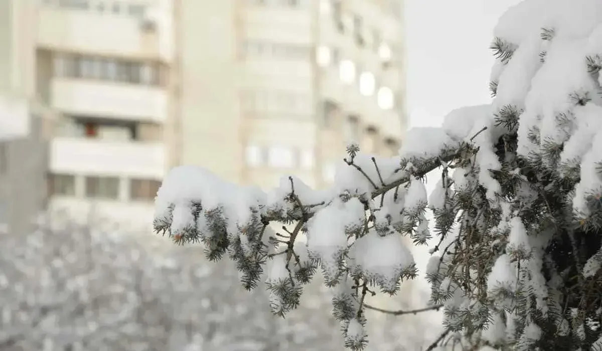 Какая погода ждет казахстанцев 8 февраля