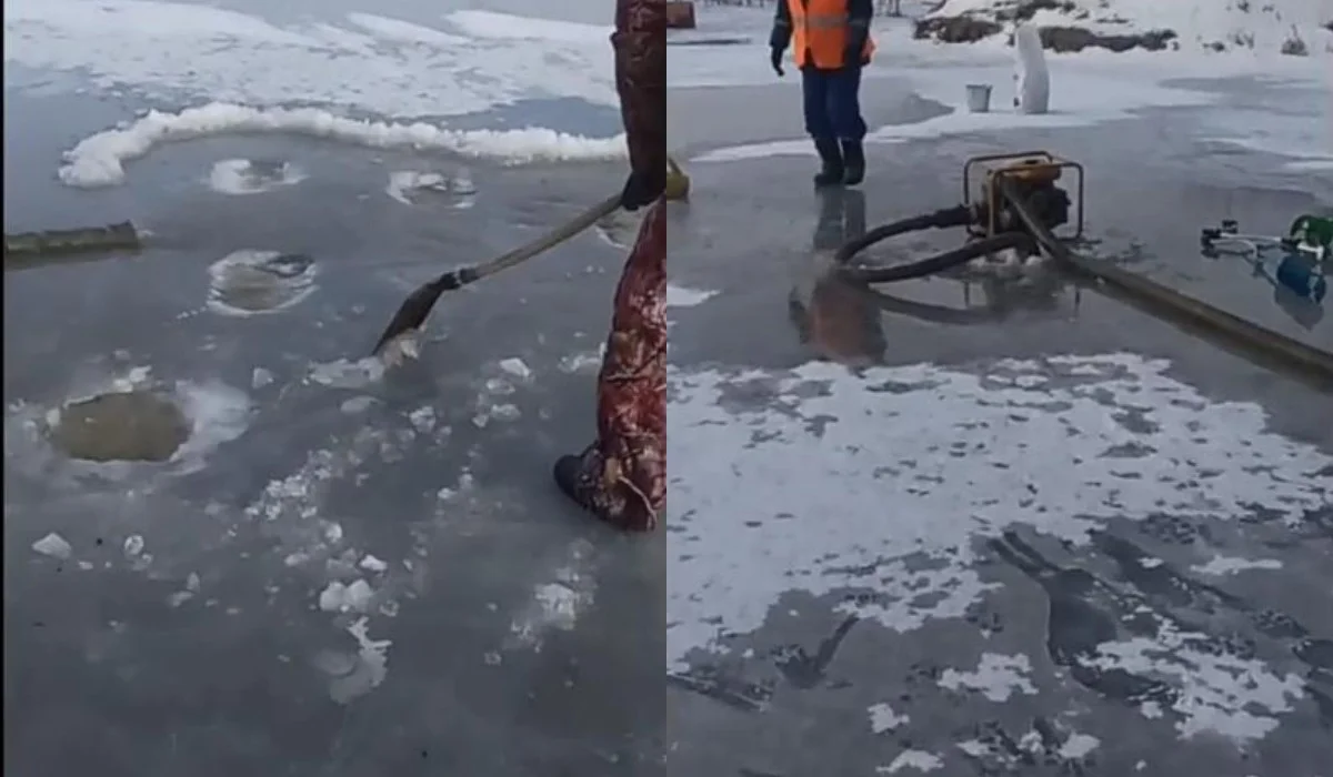 Рыба может погибнуть в водоемах ЗКО