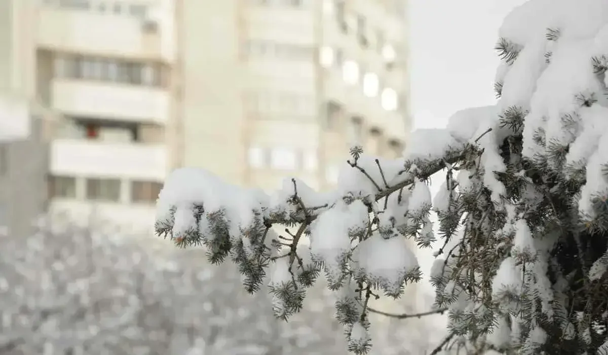 Какая погода ждет казахстанцев 20 февраля