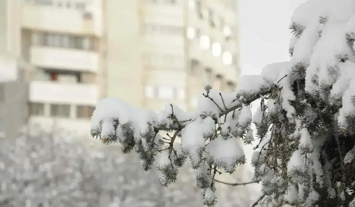 Какая погода ждет казахстанцев 23 февраля