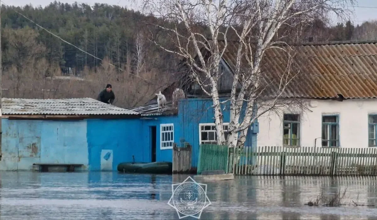 Паводковая вода будет использована для полива и сохранения экосистем Казахстана