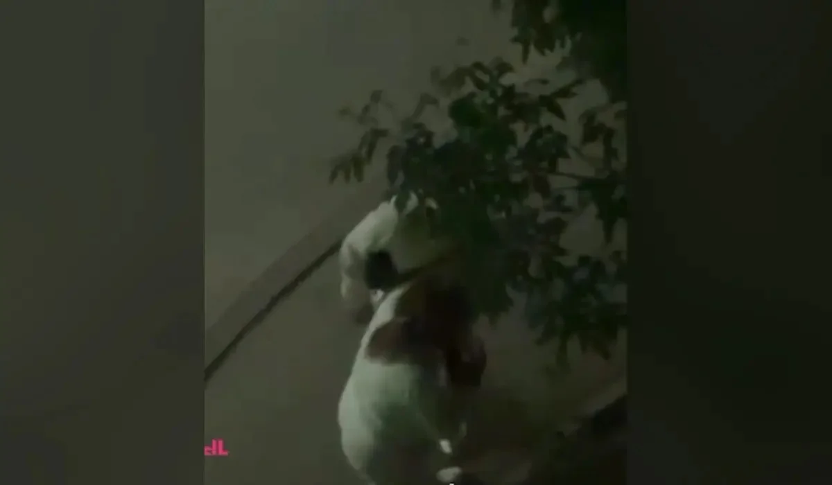 «Моя жена, сам знаю»: мужчина избил женщину на улице в Атырау (ВИДЕО)