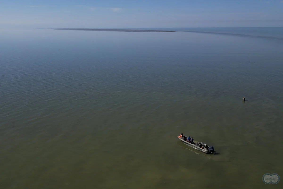 Новый остров образовался в Каспийском море из-за обмеления