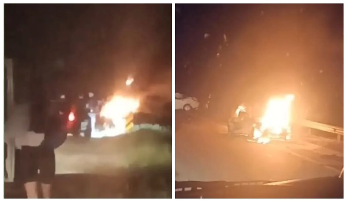 Двое погибших: авто сгорело после жуткого ДТП с лошадью в Акмолинской области