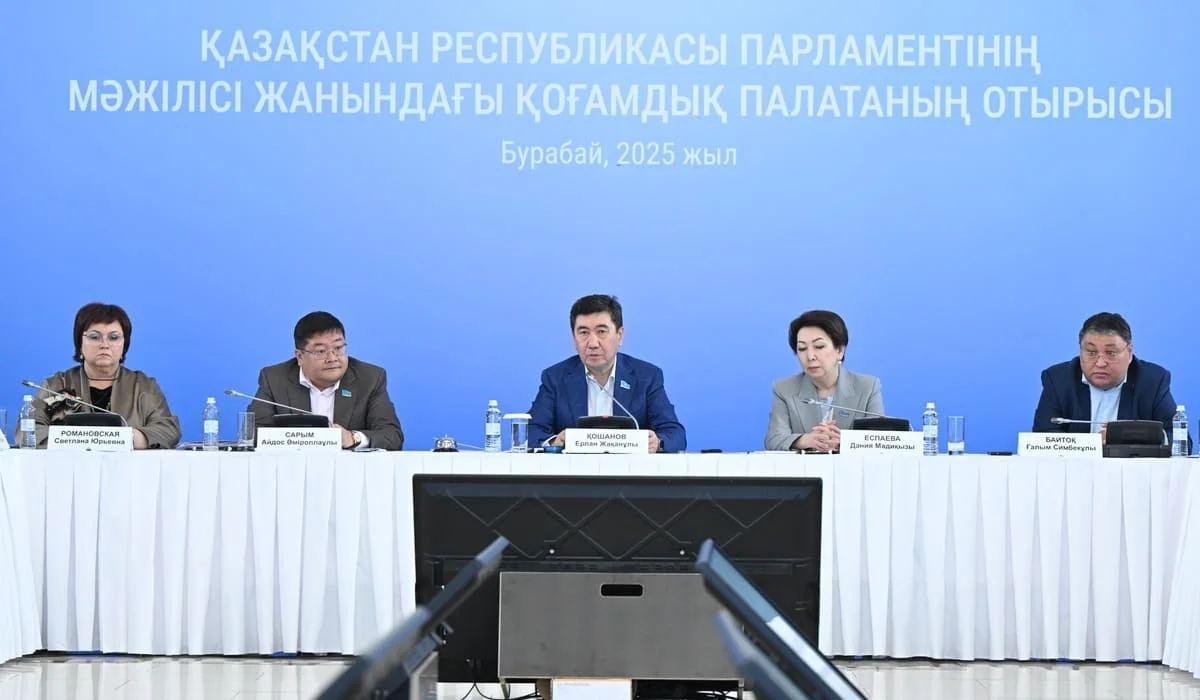 О снижении преступности после принятия закона о бытовом насилии рассказали на заседании Общественной палаты