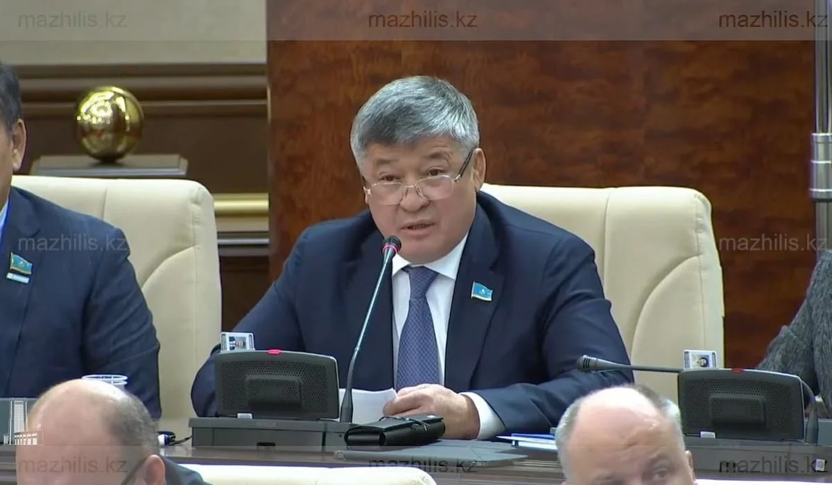 Турлыханов предложил создать сеть государственных центров реабилитации наркозавимых